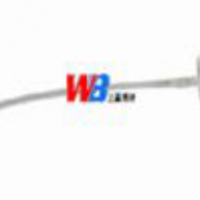 WB429_03